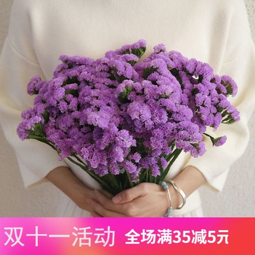 勿忘我满天星干花花束鲜花真花批发插花装饰客厅摆件花卉礼物 浅紫色